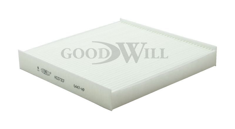 GoodWill AG373CF